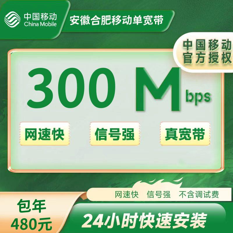 合肥移动300M一年480元(包安装费) 合肥移动300M一年480元(包安装费)