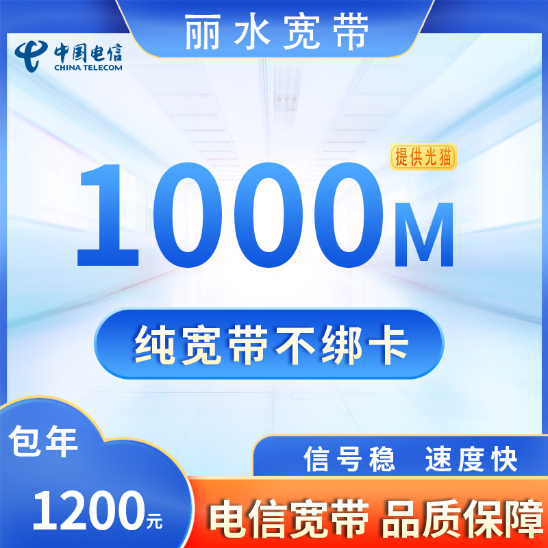 浙江丽水电信1000M1200元包1年+100安装费