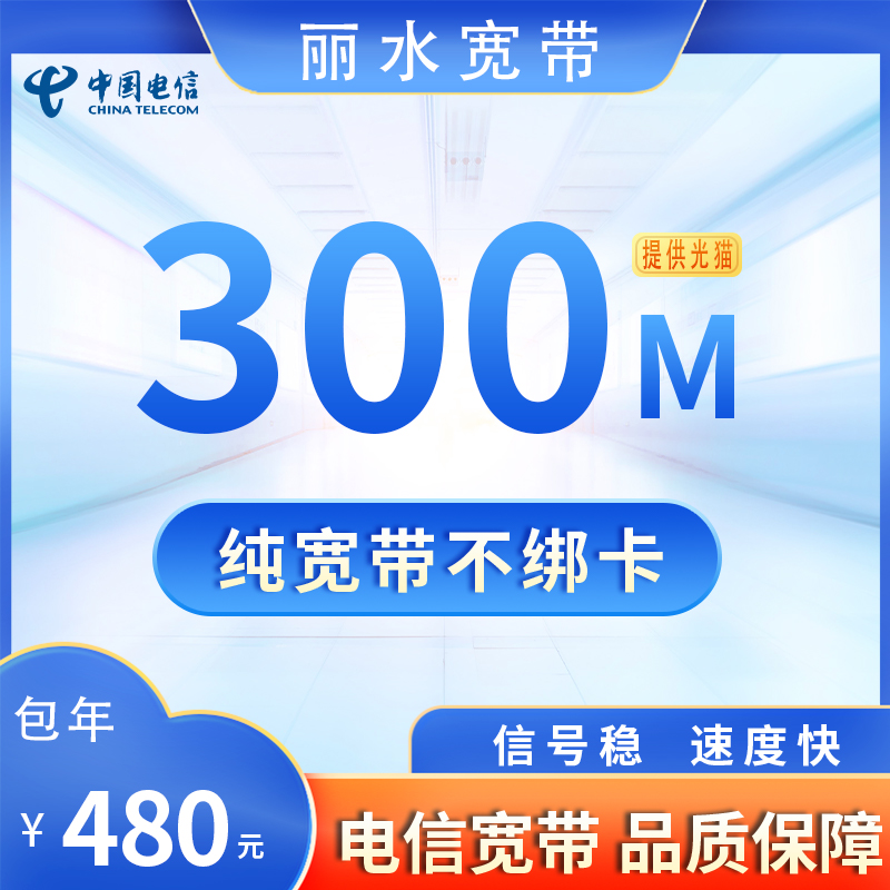 浙江丽水电信300M480元包1年+100安装费
