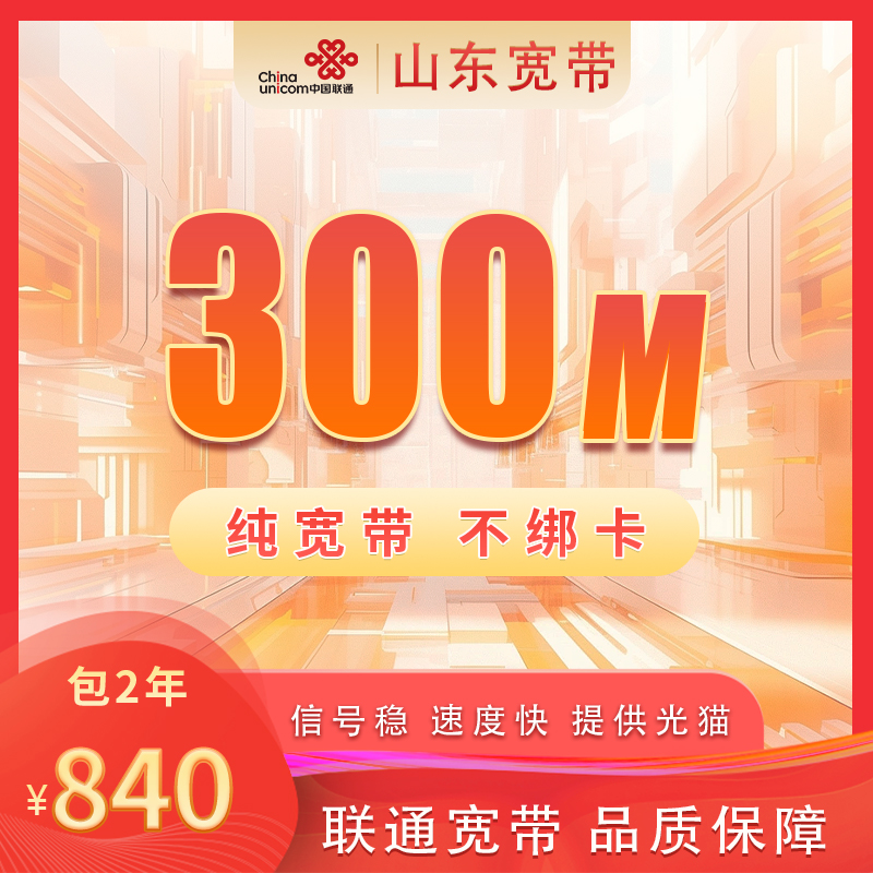 山东联通300M840元包2年（不含调测费）