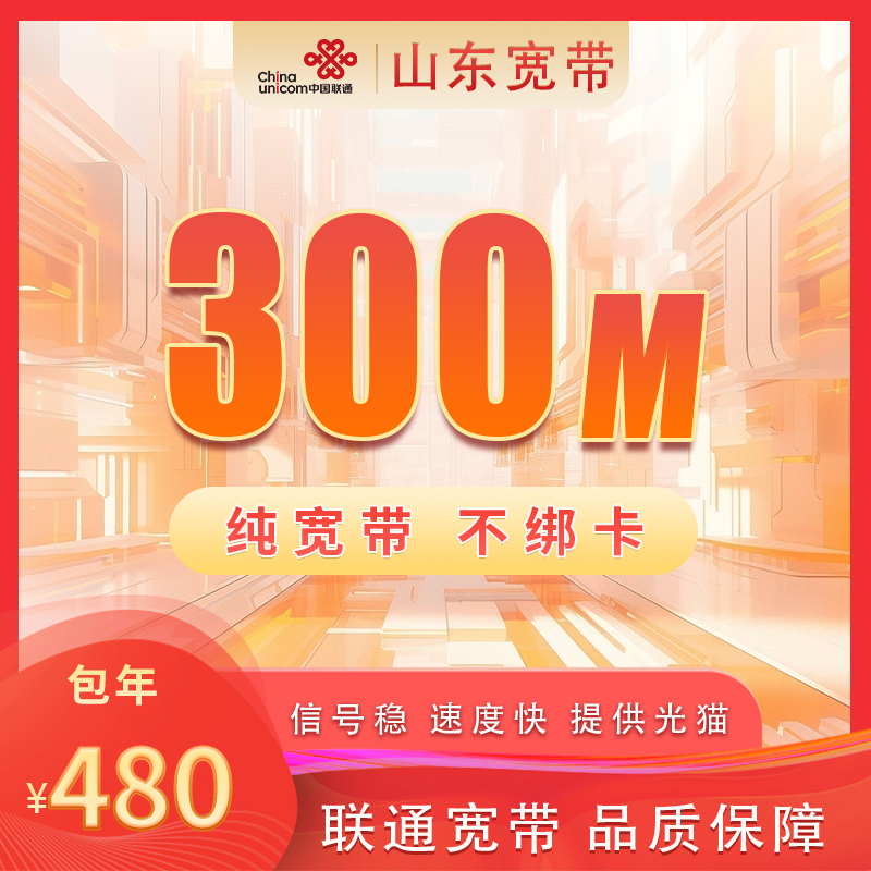 山东联通300M480元包1年（不含调测费）