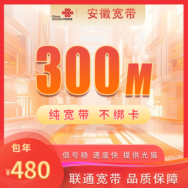 安徽联通300M480元包1年+100安装费