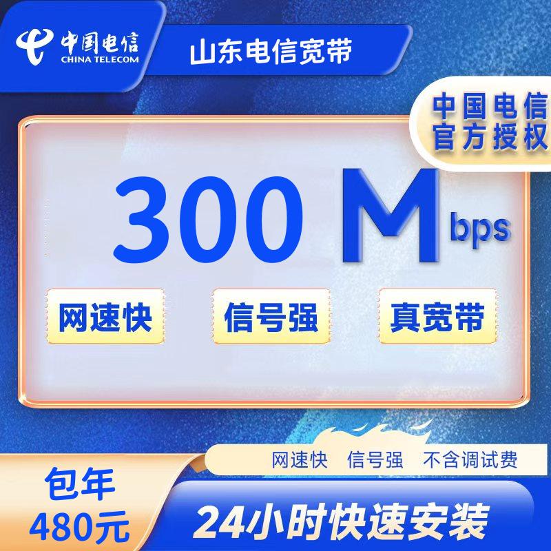 山东电信300M一年480元+100安装费