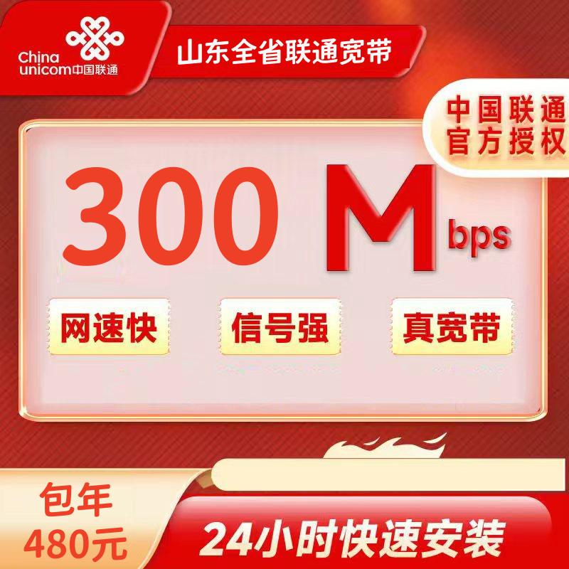 山东联通300M一年480元+100安装费