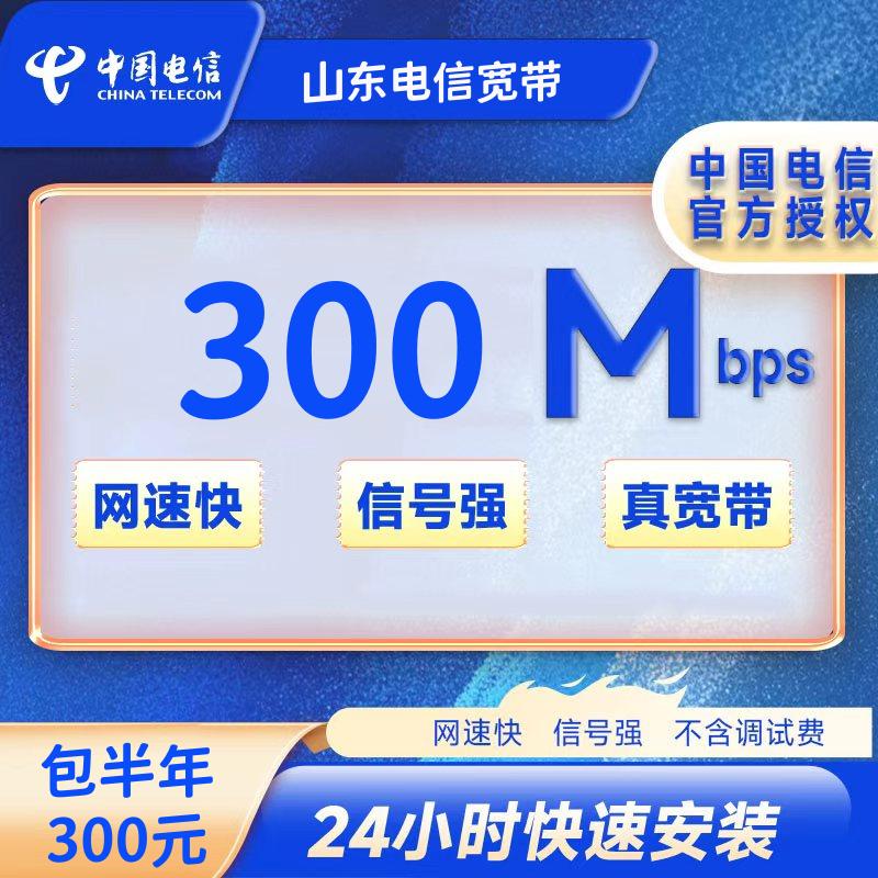 山东电信300M6个月300元+100安装费