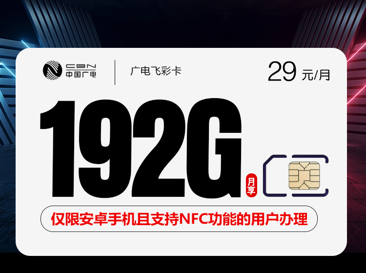 广电飞彩卡【29元192G】 广电飞彩卡【29元192G】