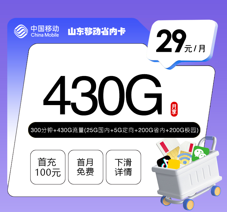 山东移动省内卡【29元430G流量+300分钟】 - 29元300分钟+430G流量(25G国内+5G定向+200G省内+200G校园)