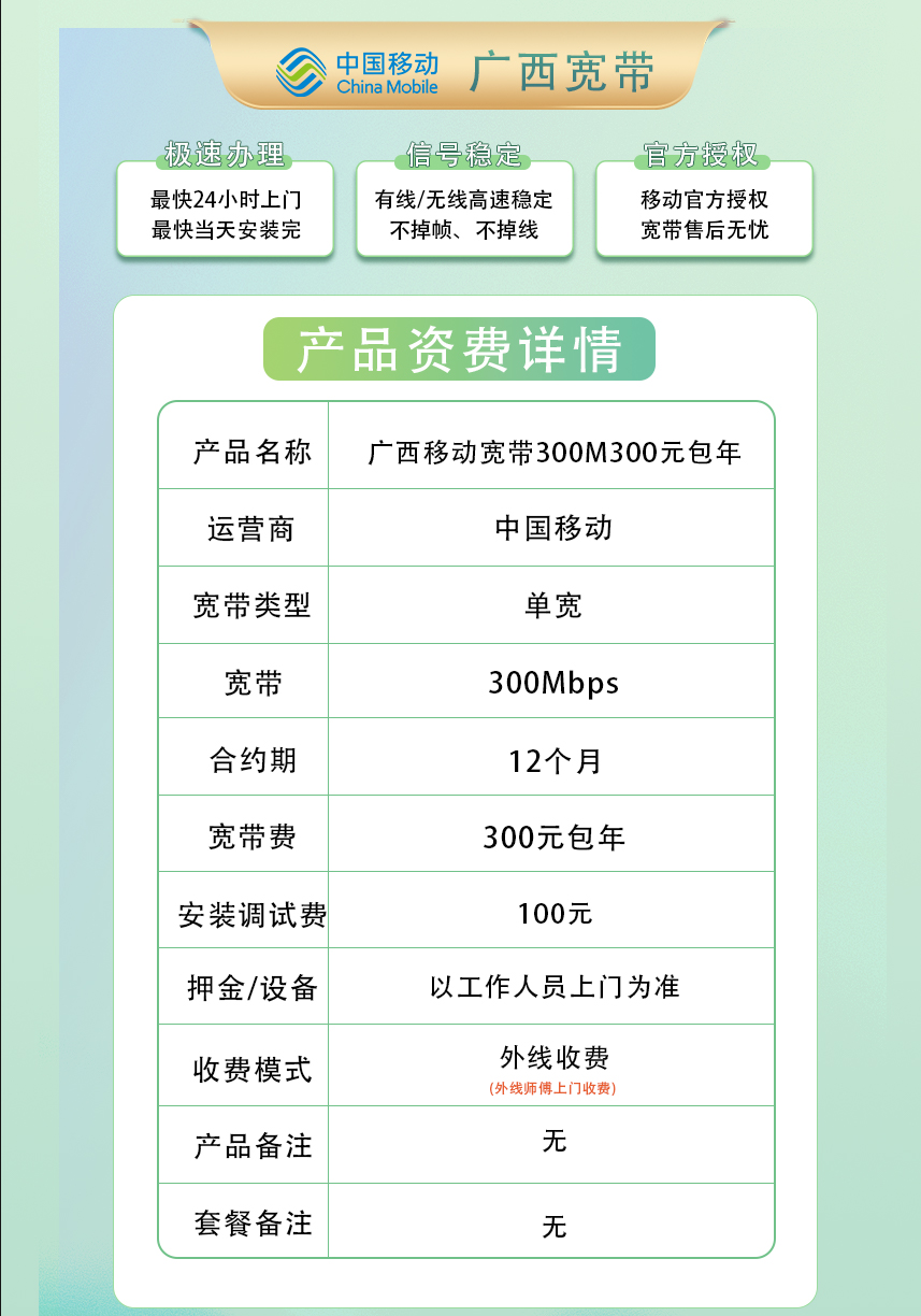 广西移动300M300元包1年+100安装费 null